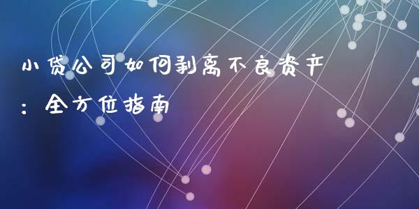 小贷公司如何剥离不良资产：全方位指南_https://www.ltsssb.com_期货行情_第1张