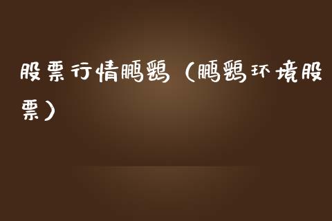 股票行情鹏鹞(鹏鹞环境股票)_股市分析_第1张_IT财经网 股票行情鹏鹞(鹏鹞环境股票)_https://www.ltsssb.com_股市分析_第1张