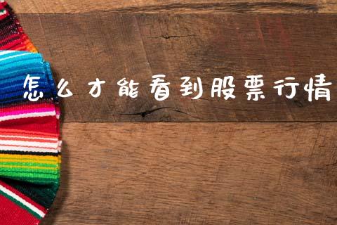 怎么才能看到股票行情_https://www.ltsssb.com_股市分析_第1张
