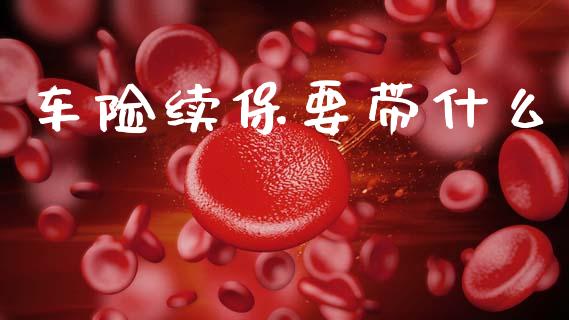 车险续保要带什么_https://www.ltsssb.com_期货密码_第1张