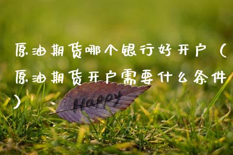 原油期货哪个银行好开户（原油期货开户需要什么条件）_https://www.ltsssb.com_期货密码_第1张
