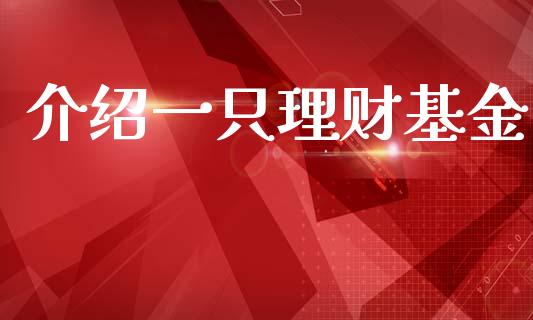 介绍一只理财基金_https://www.ltsssb.com_基金频道_第1张