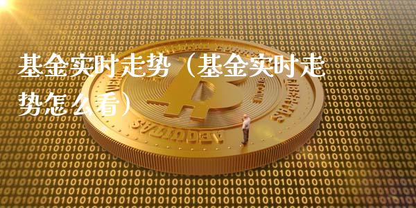 基金实时走势（基金实时走势怎么看）_https://www.ltsssb.com_国际财经_第1张