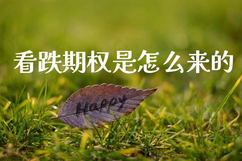 看跌期权是怎么来的_https://www.ltsssb.com_股市分析_第1张