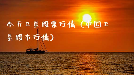 今天卫星股票行情（中国卫星股市行情）_https://www.ltsssb.com_股票理论_第1张