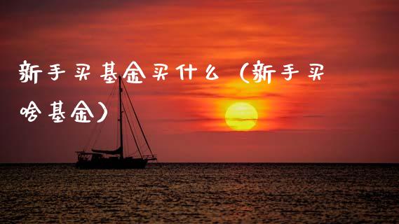 新手买基金买什么（新手买啥基金）_https://www.ltsssb.com_国际财经_第1张