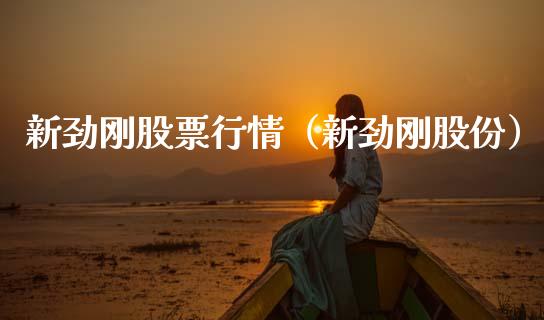 新劲刚股票行情（新劲刚股份）_https://www.ltsssb.com_股市分析_第1张