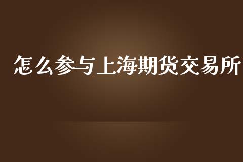 怎么参与上海期货交易所_https://www.ltsssb.com_股票理论_第1张