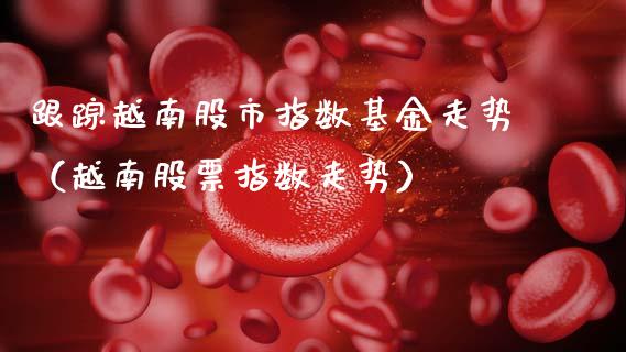 跟踪越南股市指数基金走势（越南股票指数走势）_https://www.ltsssb.com_基金频道_第1张