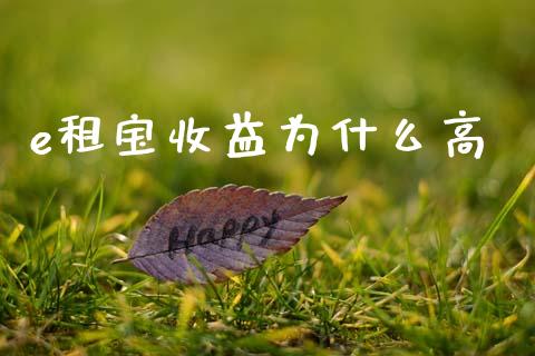e租宝收益为什么高_https://www.ltsssb.com_期货在线_第1张