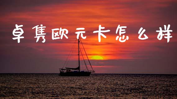 卓隽欧元卡怎么样_https://www.ltsssb.com_期货行情_第1张