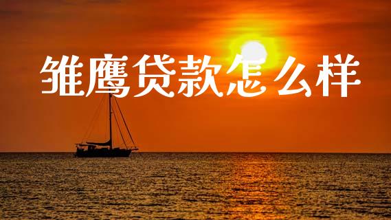 雏鹰贷款怎么样_https://www.ltsssb.com_国际财经_第1张