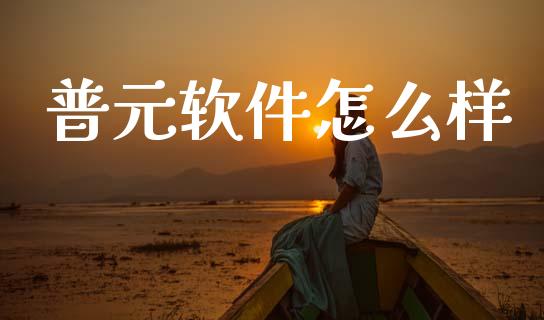 普元软件怎么样_https://www.ltsssb.com_国际财经_第1张