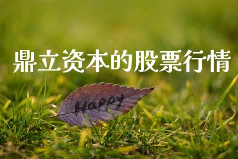 鼎立资本的股票行情_https://www.ltsssb.com_股市分析_第1张