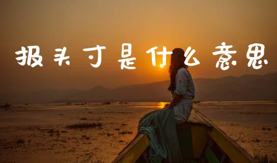 报头寸是什么意思_https://www.ltsssb.com_基金频道_第1张