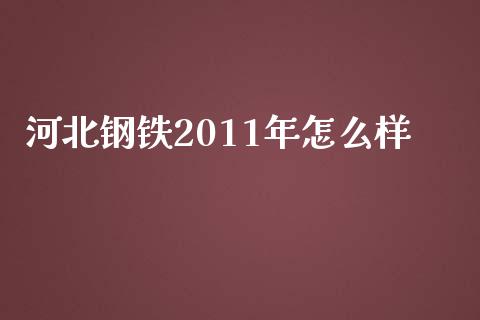 河北钢铁2011年怎么样_https://www.ltsssb.com_国际财经_第1张