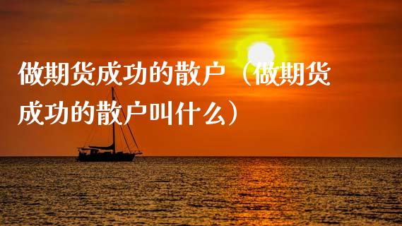 做期货成功的散户（做期货成功的散户叫什么）_https://www.ltsssb.com_期货密码_第1张
