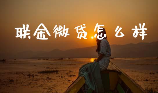 联金微贷怎么样_https://www.ltsssb.com_股市分析_第1张