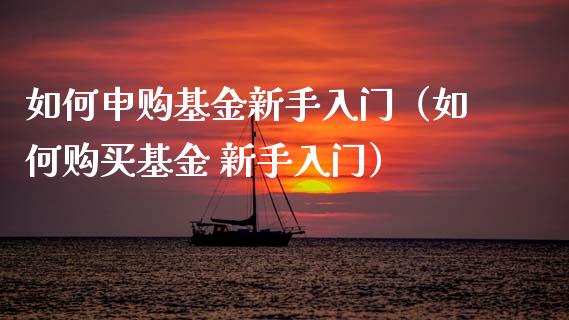 如何申购基金新手入门（如何购买基金 新手入门）_https://www.ltsssb.com_国际财经_第1张