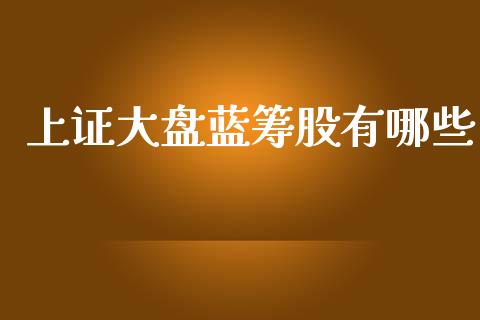 上证大盘蓝筹股有哪些_https://www.ltsssb.com_基金频道_第1张
