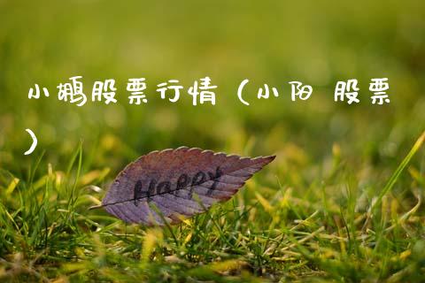 小鹕股票行情(小阳 股票)_股市分析_第1张_IT财经网 小鹕股票行情(小阳 股票)_https://www.ltsssb.com_股市分析_第1张