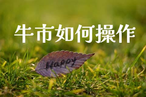 牛市如何操作_https://www.ltsssb.com_期货在线_第1张