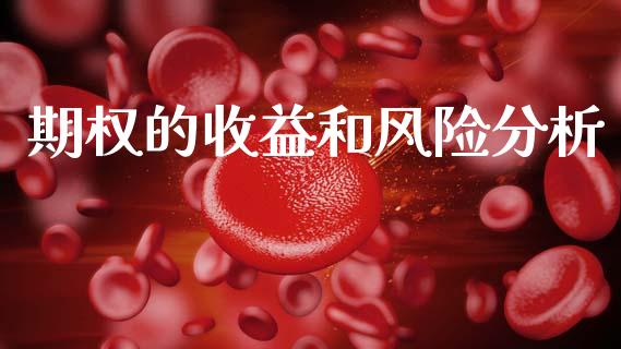 期权的收益和风险分析_https://www.ltsssb.com_期货在线_第1张