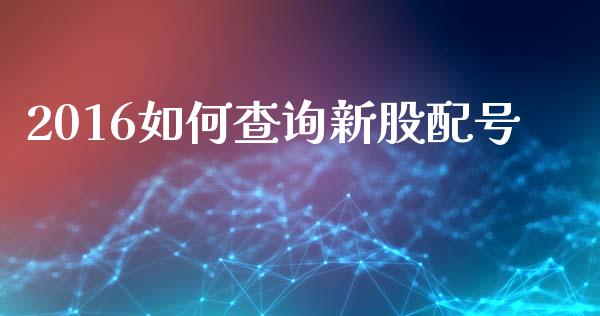 2016如何查询新股配号_https://www.ltsssb.com_期货行情_第1张