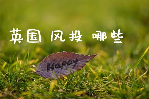 英国 风投 哪些_https://www.ltsssb.com_国际财经_第1张