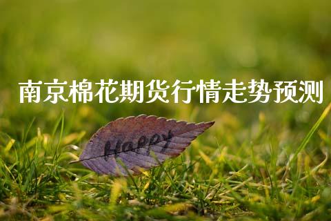 南京棉花期货行情走势预测_https://www.ltsssb.com_期货密码_第1张