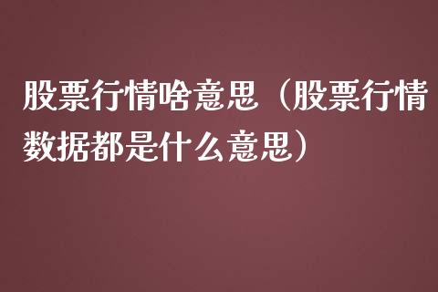 股票行情啥意思（股票行情数据都是什么意思）_https://www.ltsssb.com_股市分析_第1张