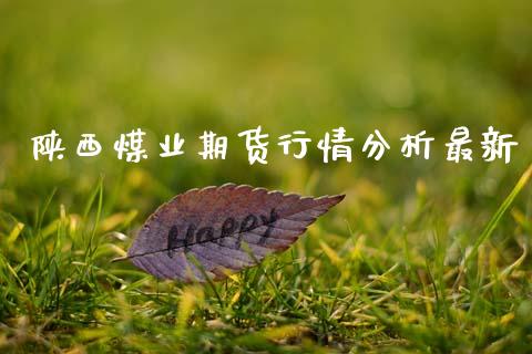 陕西煤业期货行情分析最新_https://www.ltsssb.com_期货在线_第1张