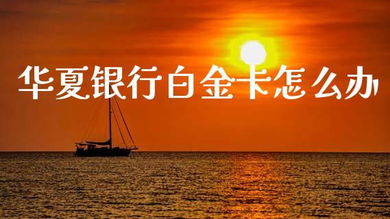 华夏银行白金卡怎么办_https://www.ltsssb.com_期货密码_第1张