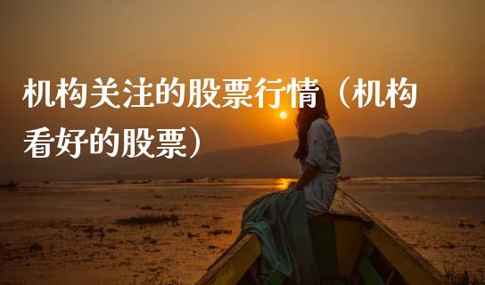 机构关注的股票行情（机构看好的股票）_https://www.ltsssb.com_新股数据_第1张