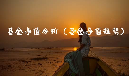 基金净值分析（基金净值趋势）_https://www.ltsssb.com_基金频道_第1张