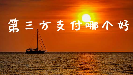 第三方支付哪个好_https://www.ltsssb.com_期货行情_第1张