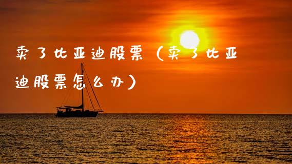 卖了比亚迪股票（卖了比亚迪股票怎么办）_https://www.ltsssb.com_股票理论_第1张