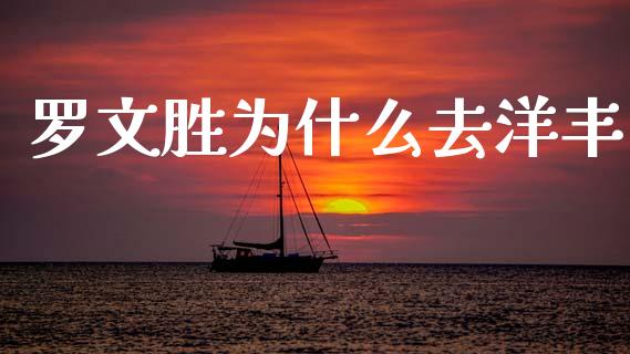 罗文胜为什么去洋丰_https://www.ltsssb.com_期货密码_第1张