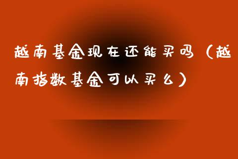 越南基金现在还能买吗（越南指数基金可以买么）_https://www.ltsssb.com_国际财经_第1张