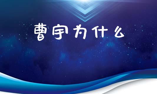 曹宇为什么_https://www.ltsssb.com_期货行情_第1张