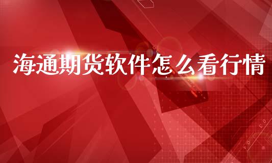 海通期货软件怎么看行情_https://www.ltsssb.com_期货在线_第1张