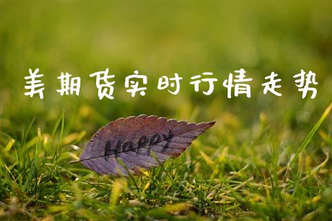 美期货实时行情走势_https://www.ltsssb.com_期货在线_第1张