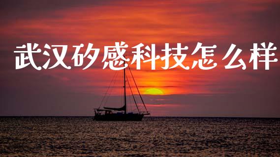 武汉矽感科技怎么样_https://www.ltsssb.com_基金频道_第1张