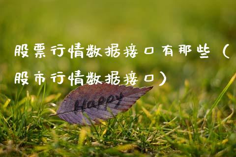 股票行情数据接口有那些（股市行情数据接口）_https://www.ltsssb.com_股市分析_第1张