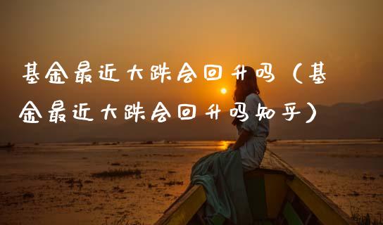 基金最近大跌会回升吗（基金最近大跌会回升吗知乎）_https://www.ltsssb.com_国际财经_第1张