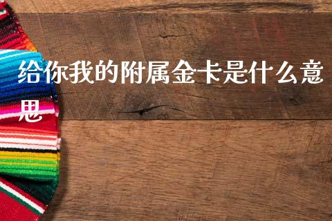 给你我的附属金卡是什么意思_https://www.ltsssb.com_新股数据_第1张