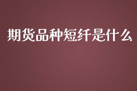 期货品种短纤是什么_股市分析_第1张_IT财经网 期货品种短纤是什么_https://www.ltsssb.com_股市分析_第1张