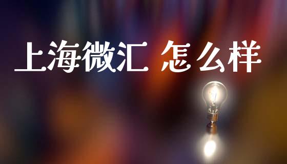 上海微汇 怎么样_https://www.ltsssb.com_股票理论_第1张