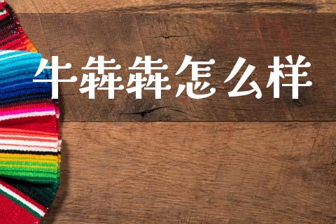 牛犇犇怎么样_https://www.ltsssb.com_期货在线_第1张
