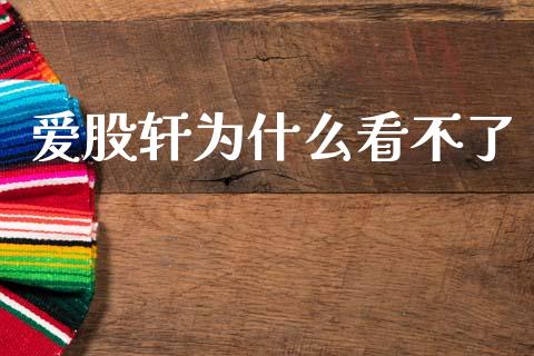 爱股轩为什么看不了_https://www.ltsssb.com_期货密码_第1张